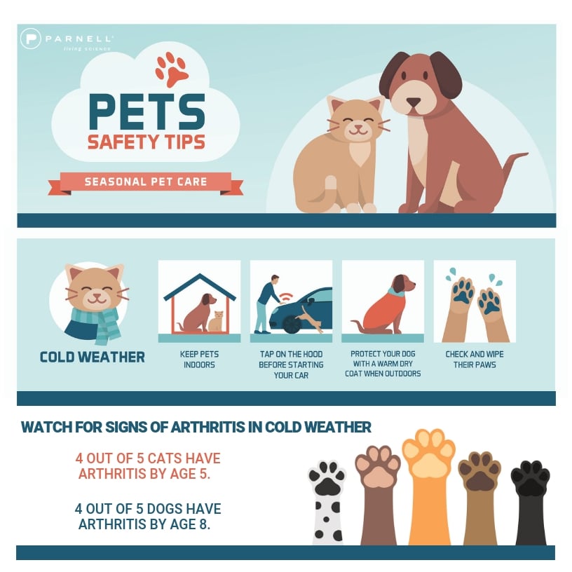 Brrr 5 Cold Weather Pet Health Tips [Infographic]